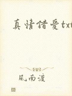 真情错爱txt封面