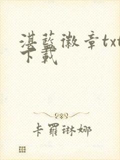 湛蓝徽章txt下载