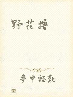 野花撸