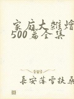 家庭大杂烩小说500篇全集封面