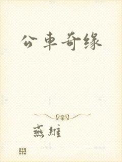 公车奇缘封面