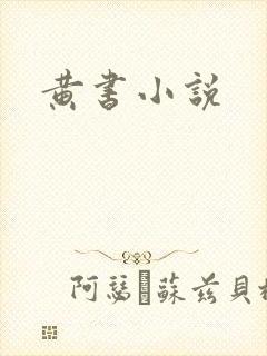 黄书小说