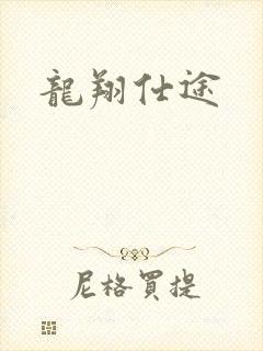 龙翔仕途