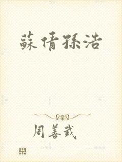 苏倩孙浩