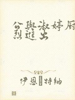 公与淑婷厨房猛烈进出