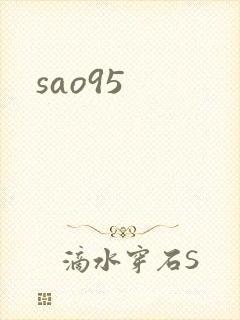 sao95封面