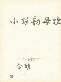 小说韵母攻略