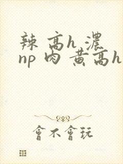 辣 高h 浓 np 肉 黄高h