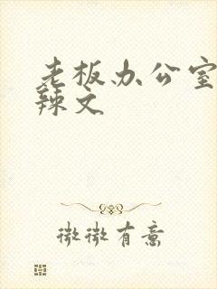老板办公室系列辣文封面