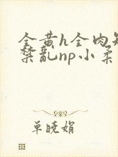 全黄h全肉短篇禁乱np小柔