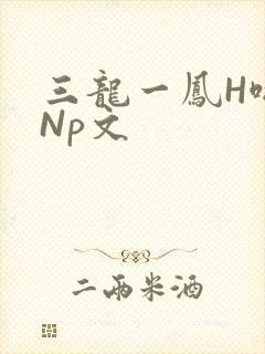 三龙一凤H啪肉Np文