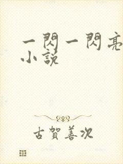 一闪一闪亮星星小说封面