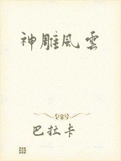 神雕风云