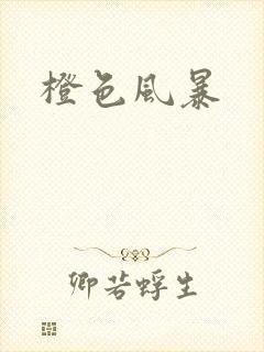 橙色风暴封面
