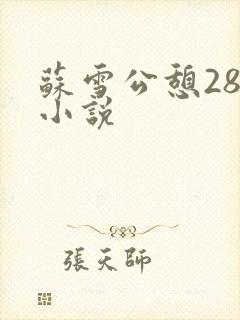苏雪公憩28篇小说