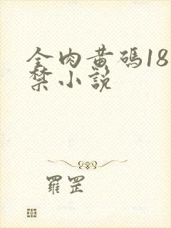 全肉黄码18无禁小说封面