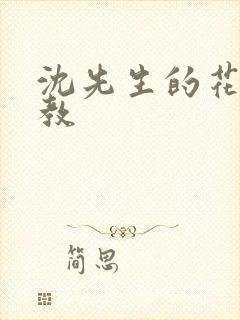 沈先生的花式调教