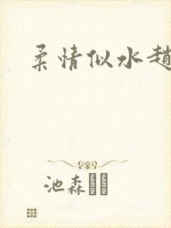 柔情似水赵雅儿