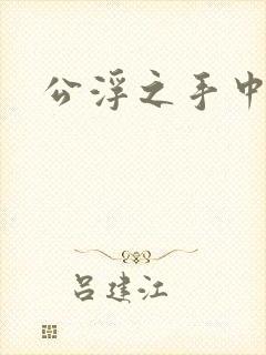 公浮之手中字5封面