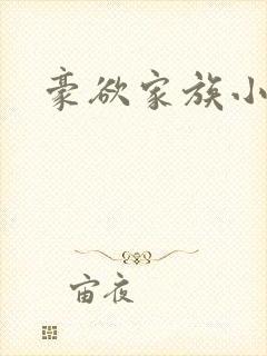 豪欲家族小说