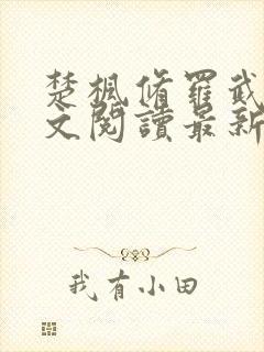 楚枫修罗武神全文阅读最新封面