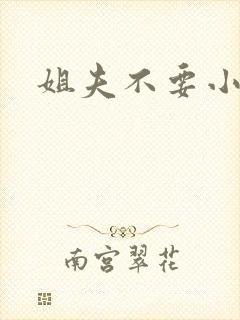 姐夫不要小说
