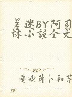 着迷BY阿司匹林小说全文免费阅读