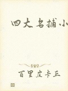 四大名捕小说