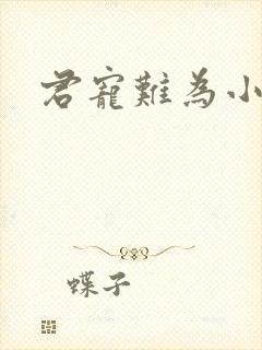 君宠难为小说