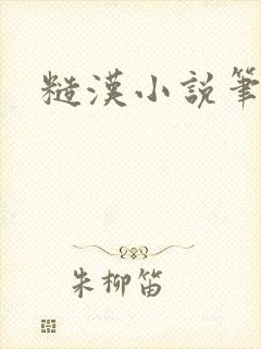 糙汉小说笔趣阁