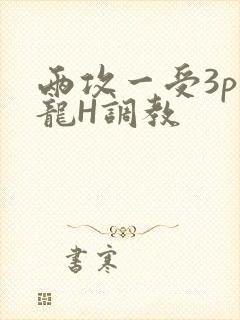 两攻一受3p双龙H调教