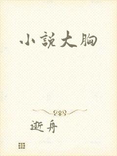 小说大胸封面