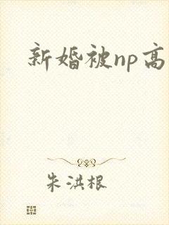 新婚被np高h封面