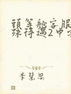 头等舱客服的特殊待遇2中字封面