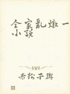 全家乱炖一锅烩小说