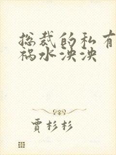 总裁的私有宝贝祸水泱泱封面
