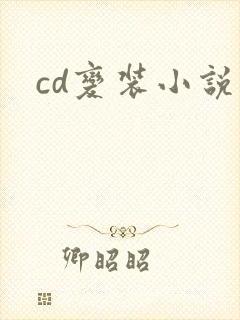 cd变装小说