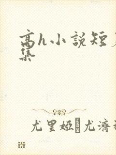 高h小说短篇合集