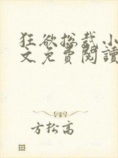 狂欲总裁小说全文免费阅读封面