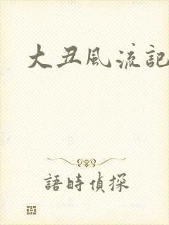 大丑风流记小说