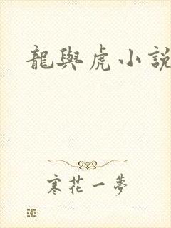 龙与虎小说