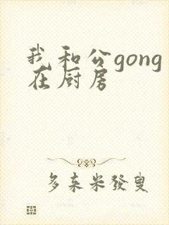 我和公gong在厨房