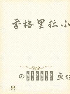 香格里拉小说封面