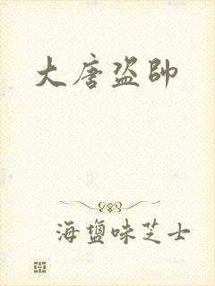 大唐盗帅