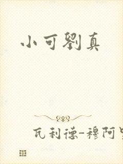 小可刘真