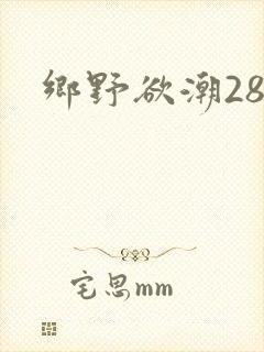 乡野欲潮28章