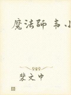 魔法师 韦小宝封面