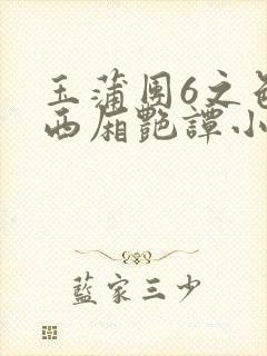 玉蒲团6之色情西厢艳谭小说封面