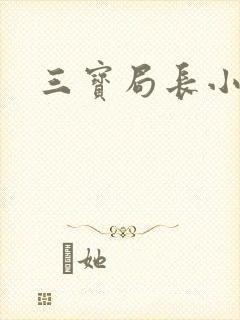三宝局长小说封面