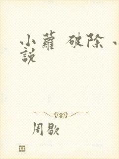 小萝 破除 小说